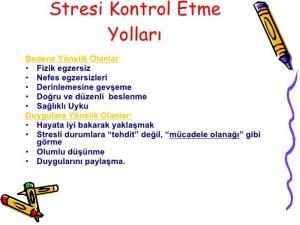 Stres Hormonları: Adrenalin, Kortizol, Norepinefrin Sağlığı Nasıl Etkiler?