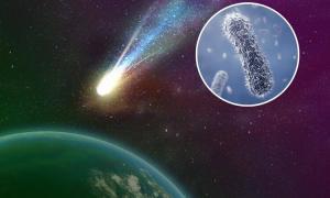 Dünya Dışından Gelen Yaşam: Panspermia Teorisi