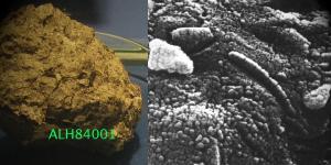 Dünya Dışından Gelen Yaşam: Panspermia Teorisi