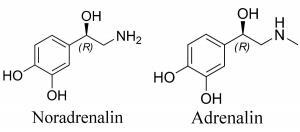 Epinefrin (Katekolamin) İdrar Testi Nedir, Neden Yapılır?