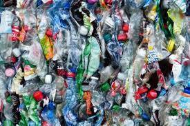 Bakteriler Plastiği Bozabilir mi?