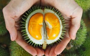 Durian (Duryan) Meyvesi: Besin Değeri, Yan Etkileri ve Sağlığa Faydaları