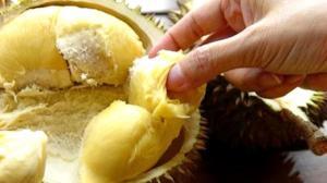 Durian (Duryan) Meyvesi: Besin Değeri, Yan Etkileri ve Sağlığa Faydaları