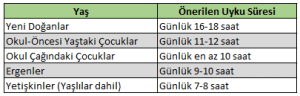 Neden Uyuduğumuza İlişkin Teoriler