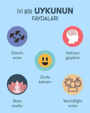 Neden Uyuduğumuza İlişkin Teoriler