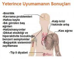Neden Uyuduğumuza İlişkin Teoriler