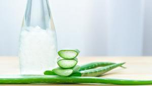 Aloe Vera Tip 2 Diyabet Tedavisinde Yardımcı Olabilir mi?