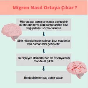 Migren Belirtileri ve Migreni Tetikleyen Faktörler