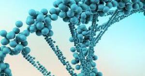Akondroplazinin Altında Yatan Genetik: FGFR3 Geni