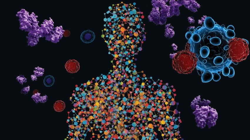 CAR T Hücreleri: Yapısı ve Kanser Tedavisinde Kullanımı