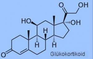 Glukokortikoid Reseptörleri Nelerdir?