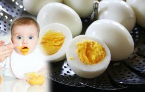 Yumurta Alerjisinin Nedenleri, Belirtileri ve Önlenmesi