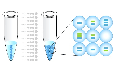 Dijital PCR Nedir, Nasıl İşlev Görür?