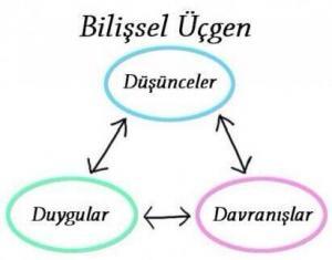 Temel Duygular, Farklı Duygu Türleri ve İnsan Davranışlarına Etkisi