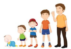 Büyüme Hormonu, Etkileri, Kontrolü ve Hastalık Durumları