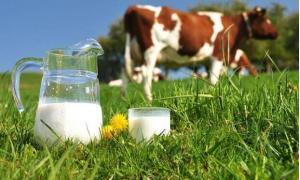 Büyüme Hormonu, Etkileri, Kontrolü ve Hastalık Durumları