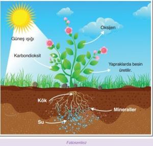 Güneş Enerjisinin Kimyasal, Elektrik ve Isı Enerjisine Dönüştürülerek Kullanımı