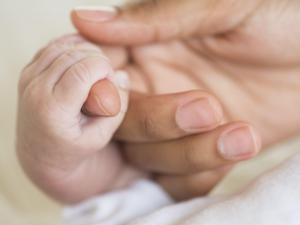 Kişilik Oluşumunda Kalıtım mi Yoksa Çevre mi Daha Etkilidir?