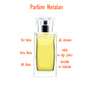 Parfüm, Kolonya ve Diğer Kokular Arasındaki Farklar