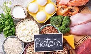 Protein ve Şişkinlik