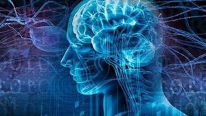TMS Tedavisi Nedir?