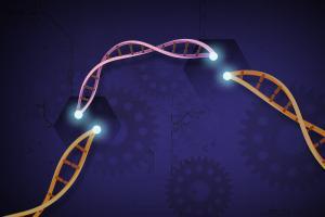 2020 Kimya Nobel Ödülü: Genom Düzenleme İçin CRISPR/Cas9 Yöntemi
