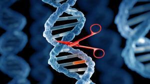 2020 Kimya Nobel Ödülü: Genom Düzenleme İçin CRISPR/Cas9 Yöntemi
