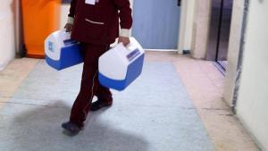 Hepatit C Hastalığı ve Böbrek Nakli Üzerine Merak Edilenler