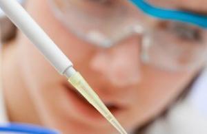 Hepatit C Hastalığı ve Böbrek Nakli Üzerine Merak Edilenler