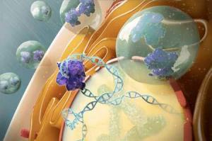 Adrese Teslim Çalışan Lipit Nanopartikülleri