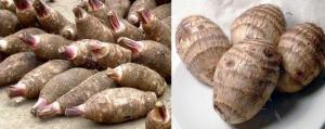 Taro (Gölevez) Kökünün Sağlık Açısından Faydaları