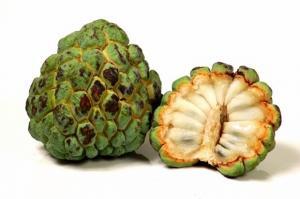 Hint Ayvası (Custard Apple) Nedir, Faydaları Nelerdir?