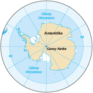Antarktika, Güney Okyanusu Deniz Ekosistemi