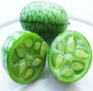 Cucamelon (Meksika Karpuzu) Hakkında Bilgiler