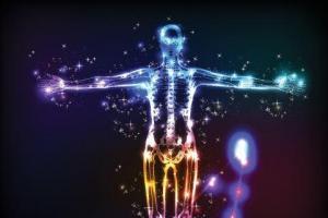 Endokannabinoid Sistem Nedir, Neden Önemlidir?