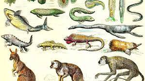 Charles Darwin'in Eğitim Hayatı