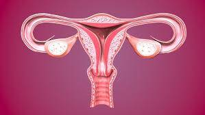 HPV'nin Kanserle Olan Viral Bağlantısı