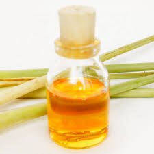 Citronella Yağı Nedir?