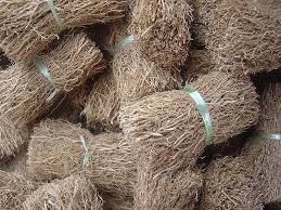 Vetiver Yağı Nedir?