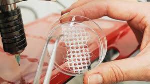 Bio-baskı (Bioprinting) Nedir?
