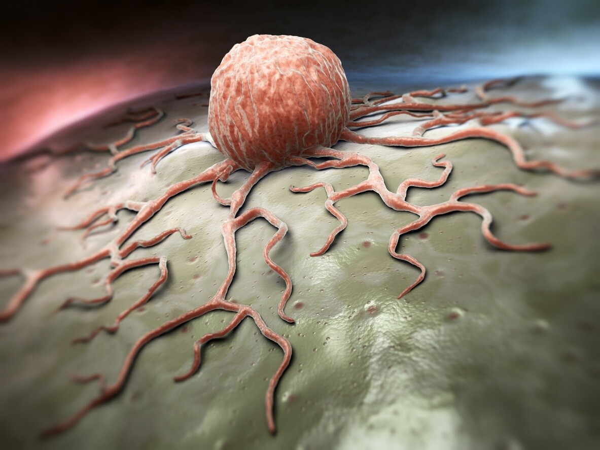 Kanser Hücresi ile İlgili İlginç Gerçekler
