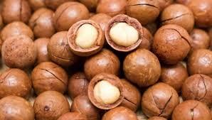 Macadamia Yağının Faydaları