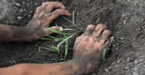 Melioidoz (Melioidosis) Nedir?