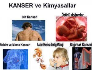 Çevre Sorunları ve İnsan Sağlığı