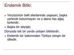 Endemizm Nedir? Sebepleri, Tehditleri ve Endemik Türler