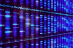 DNA Ekstraksiyon Yöntemleri