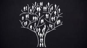 Yeni Nesil Dizileme (NGS- Next-Generation Sequencing) Nedir?