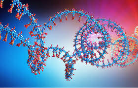Multipl Miyelom'da Dolaşan lncRNA ve Uzun Kodlamayan RNA Molekülleri