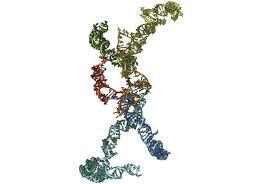 Multipl Miyelom'da Dolaşan lncRNA ve Uzun Kodlamayan RNA Molekülleri