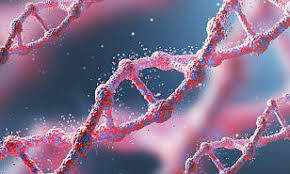 Multipl Miyelom'da Dolaşan lncRNA ve Uzun Kodlamayan RNA Molekülleri